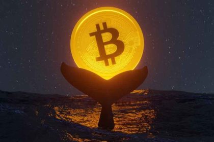 Bitcoin whales with timid signs of improvement this week